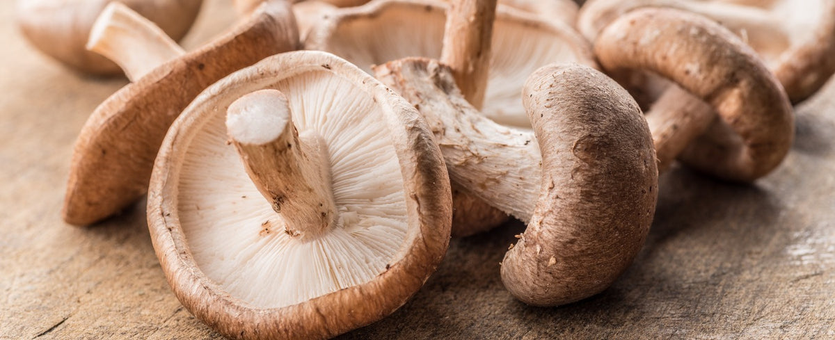 The CAPNs Mushroom Company