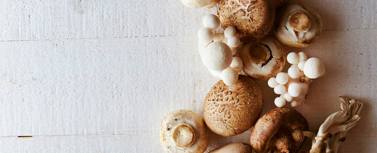 The CAPNs Mushroom Company