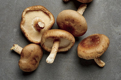 Shiitake Mushrooms - The CAPN's Mushroom Company