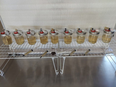 Liquid Culture Syringe - The CAPN's Mushroom Company
