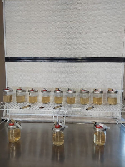 Sterilized Liquid Culture Jar (NOT Inoculated) - The CAPN's Mushroom Company