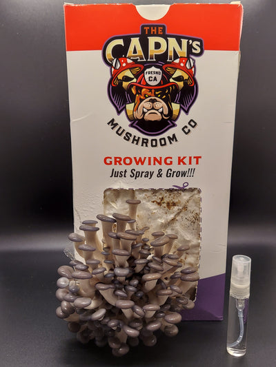 Spray and Go Mushroom Grow Kit - The CAPN's Mushroom Company
