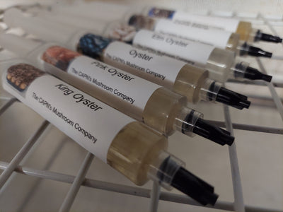 Liquid Culture Syringe - The CAPN's Mushroom Company