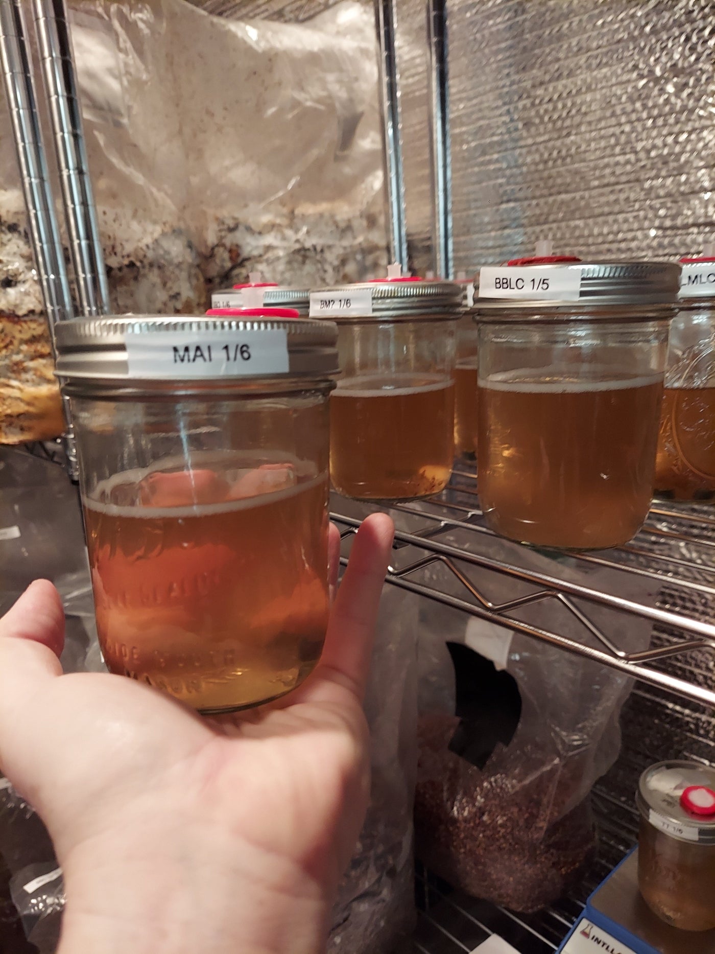 Sterilized Liquid Culture Jar (NOT Inoculated) - The CAPN's Mushroom Company