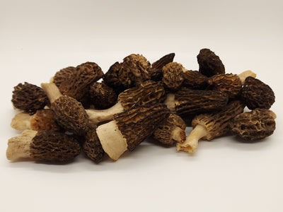Fresh Morel Mushrooms **LOCAL PICKUP/DELIVERY ONLY** - The CAPN's Mushroom Company